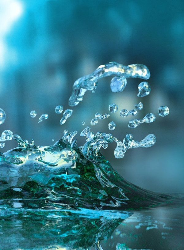 Aquatic